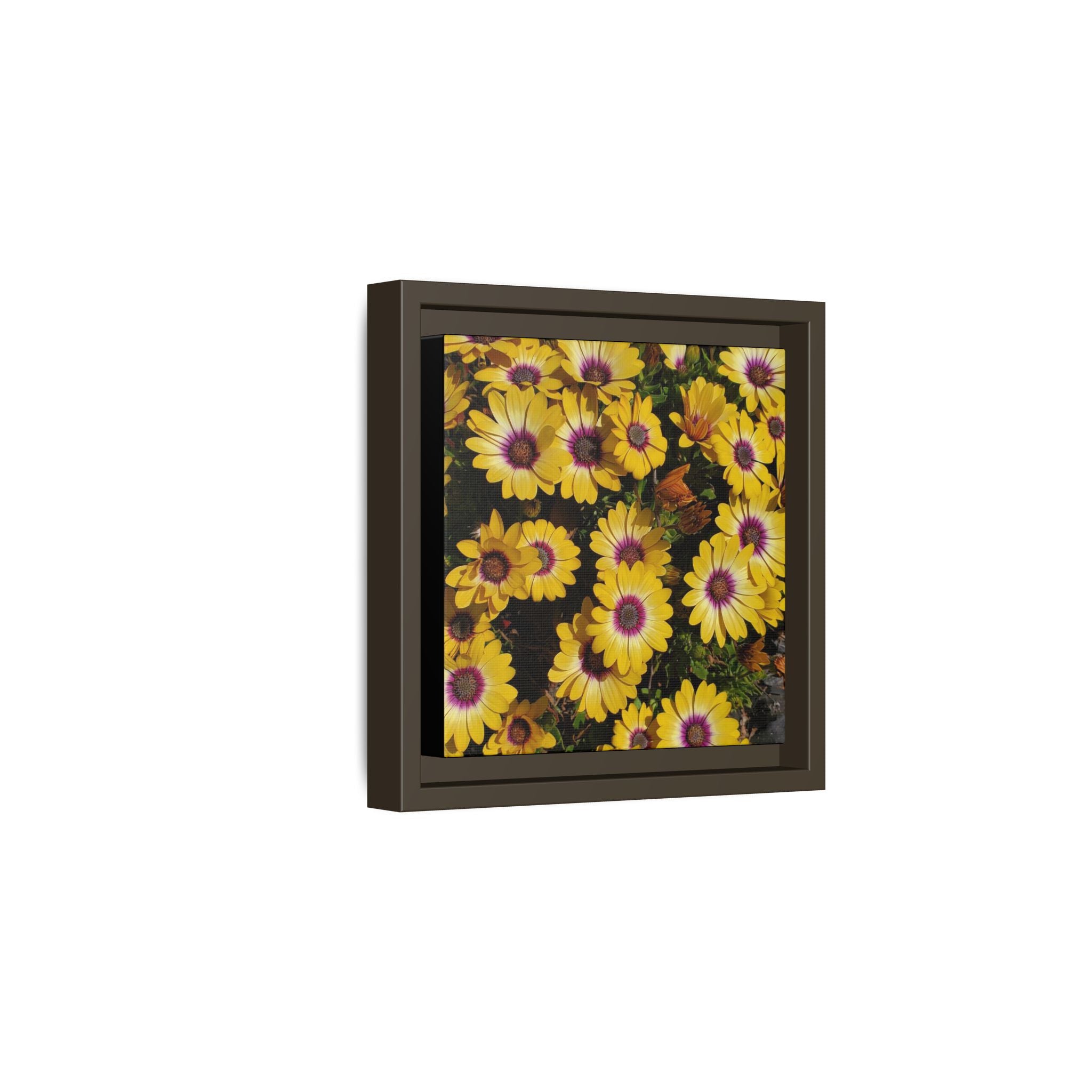 Cuadro de pared de lienzo con margaritas amarillas — Impresión floral mate vibrante