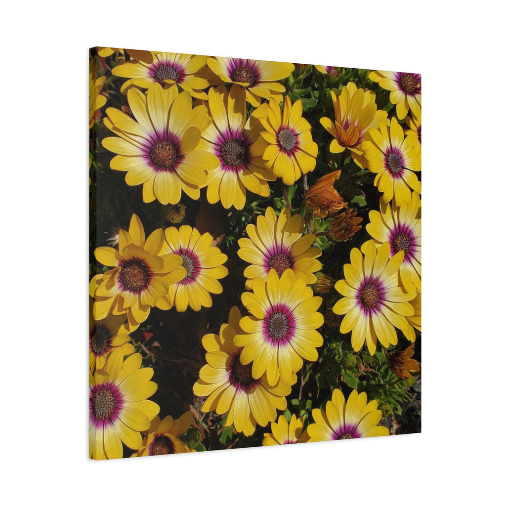 Yellow Daisy Floral Canvas Wall Art