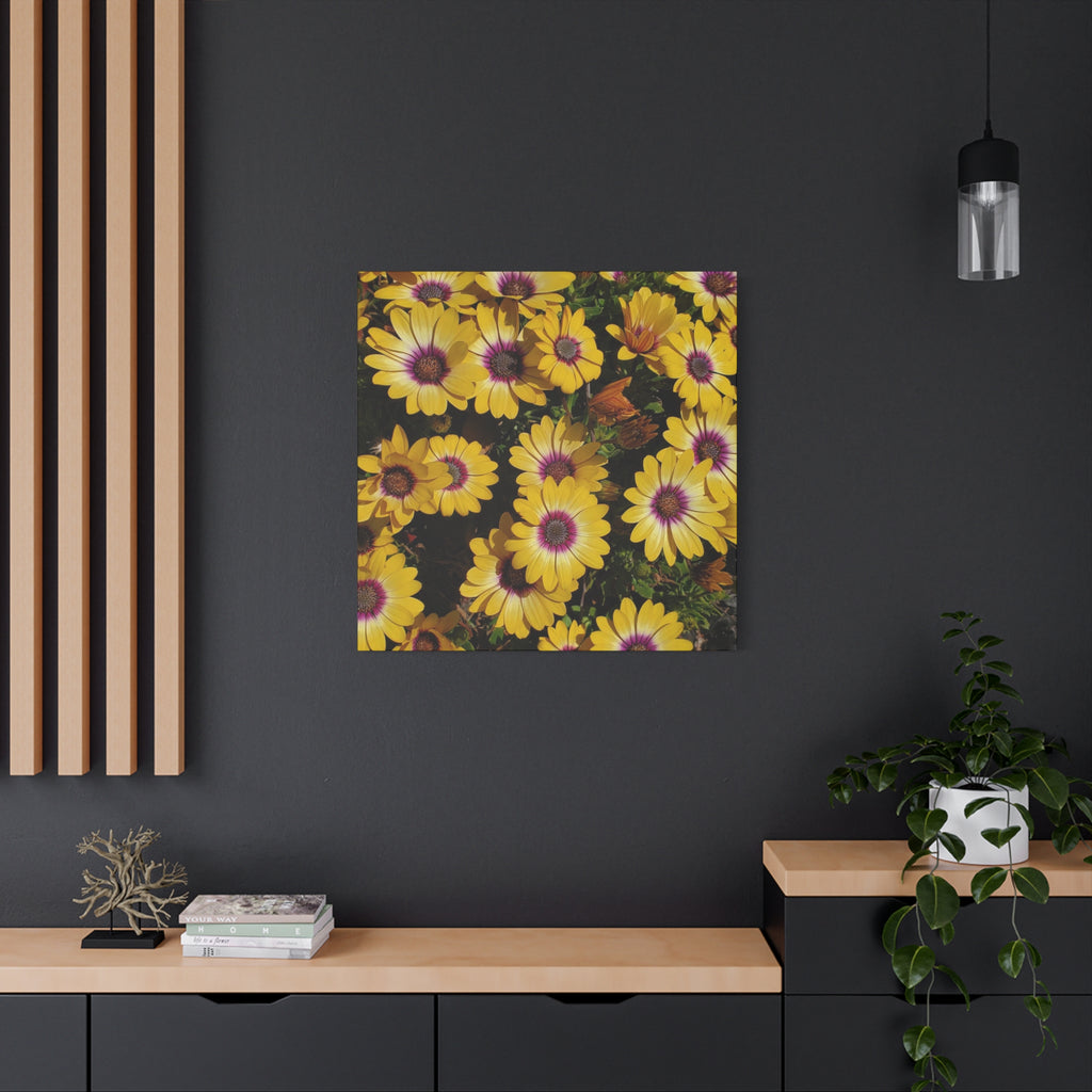 Yellow Daisy Floral Canvas Wall Art