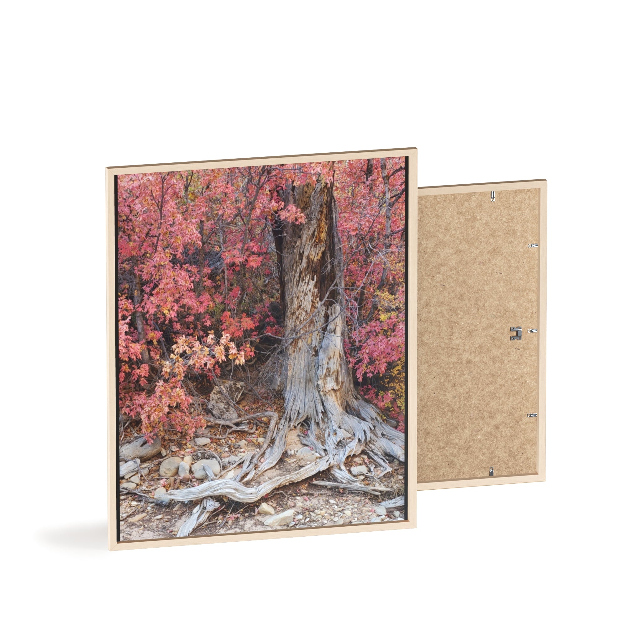 Autumn Tree Roots Poster with Wooden Frame | Fall Forest Wall Art