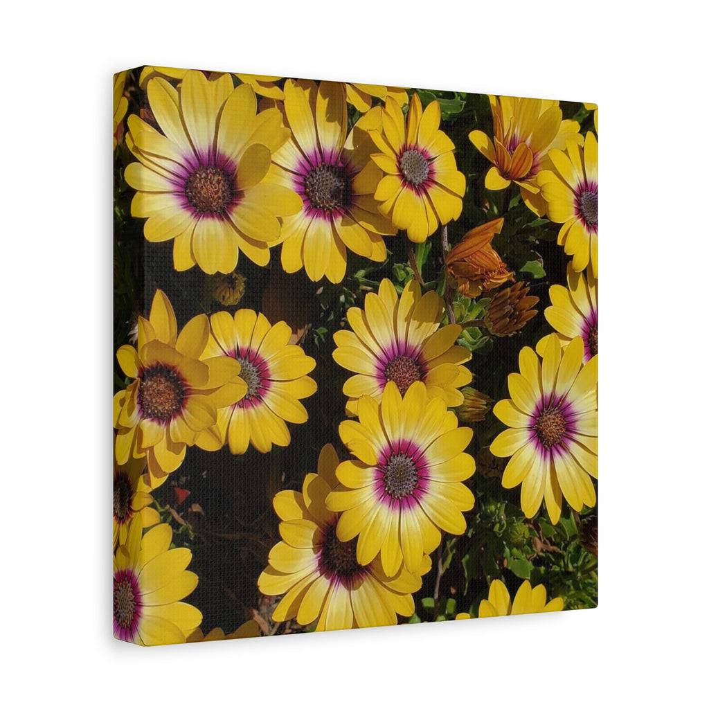 Yellow Daisy Floral Canvas Wall Art