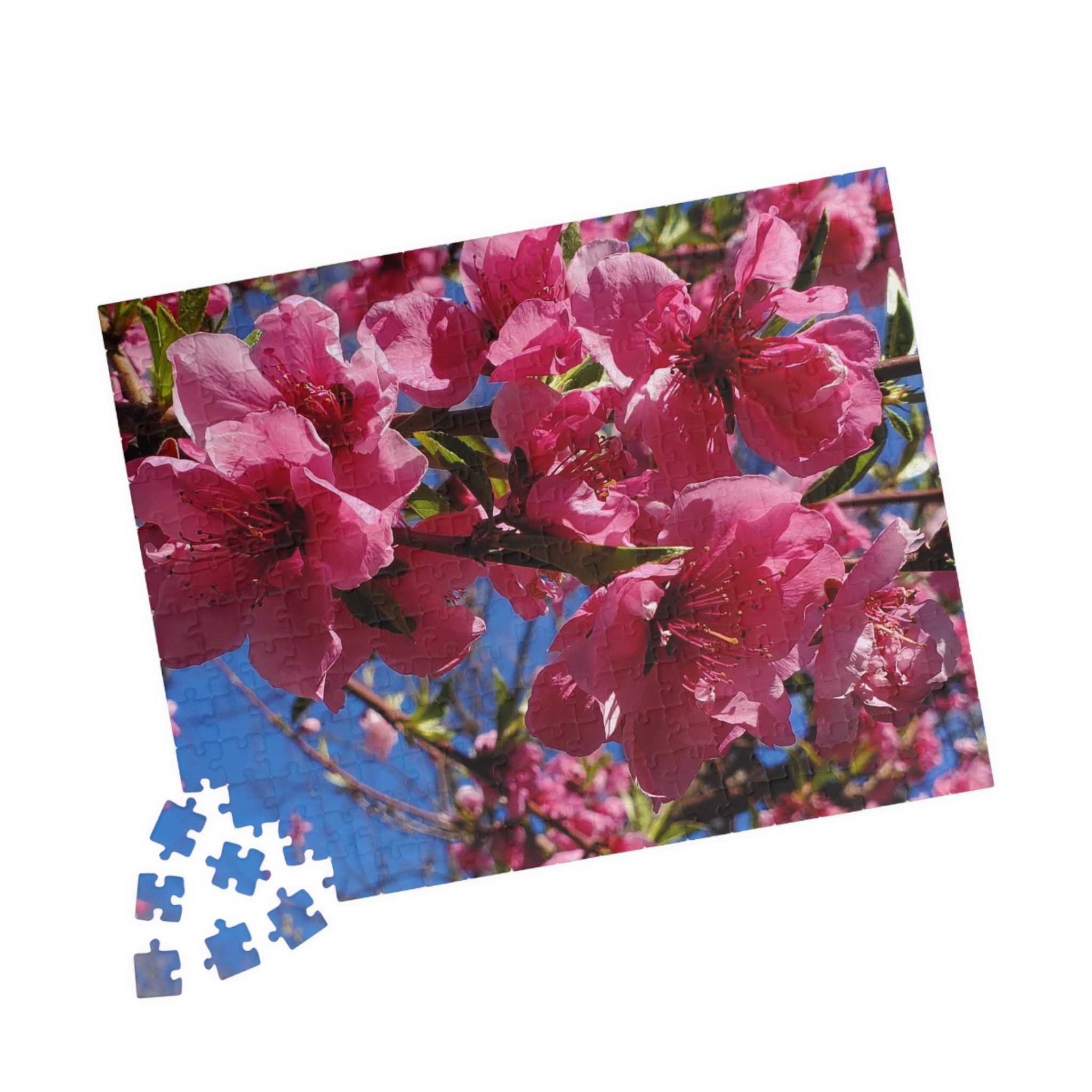 Rompecabezas de flores de cerezo rosas 252/520 piezas | Rompecabezas floral de primavera