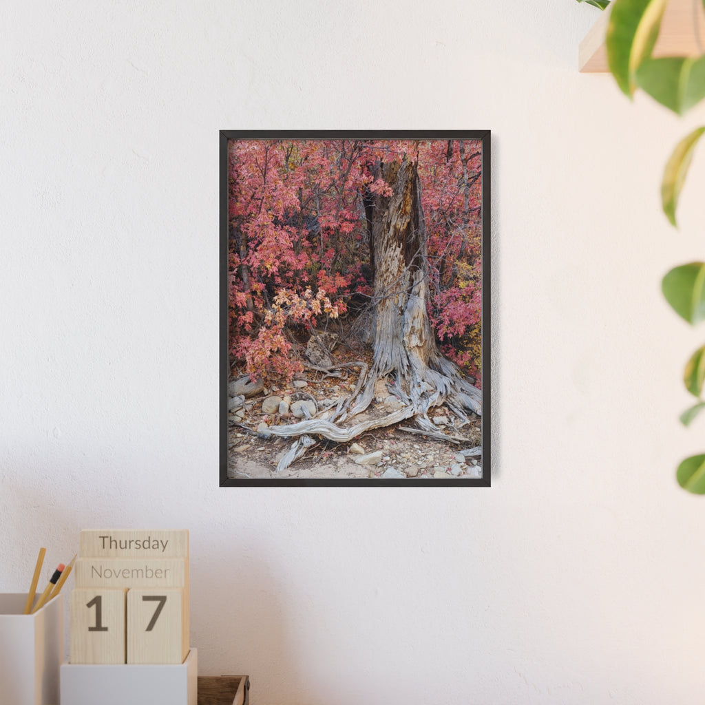 Póster "Raíces de árbol de otoño" con marco de madera | Arte de pared de bosque otoñal