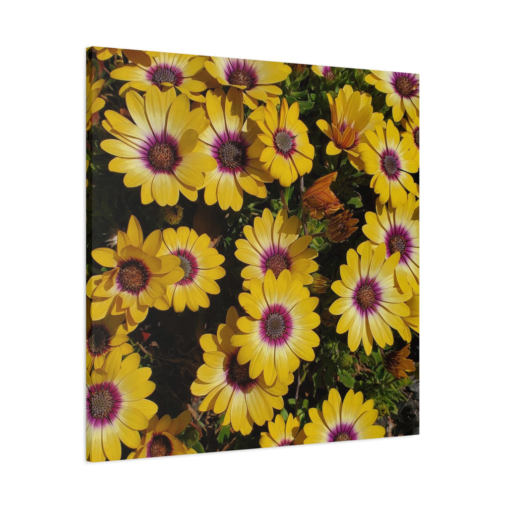 Yellow Daisy Floral Canvas Wall Art
