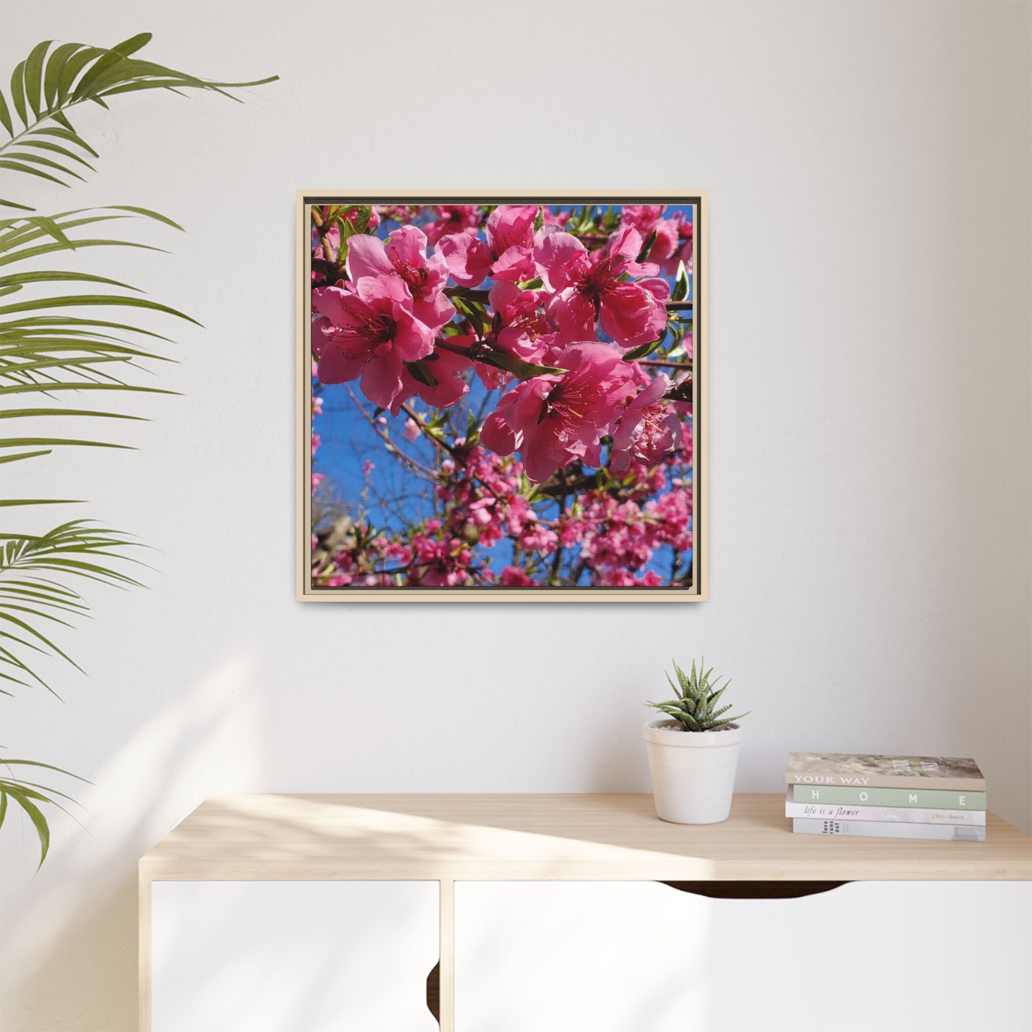 Pink Peach Blossom Framed Canvas Print