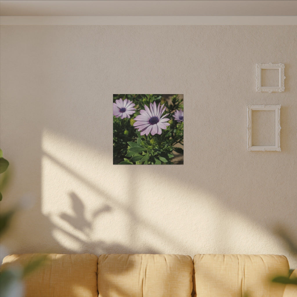 Unframed Purple Daisy Floral Canvas Print