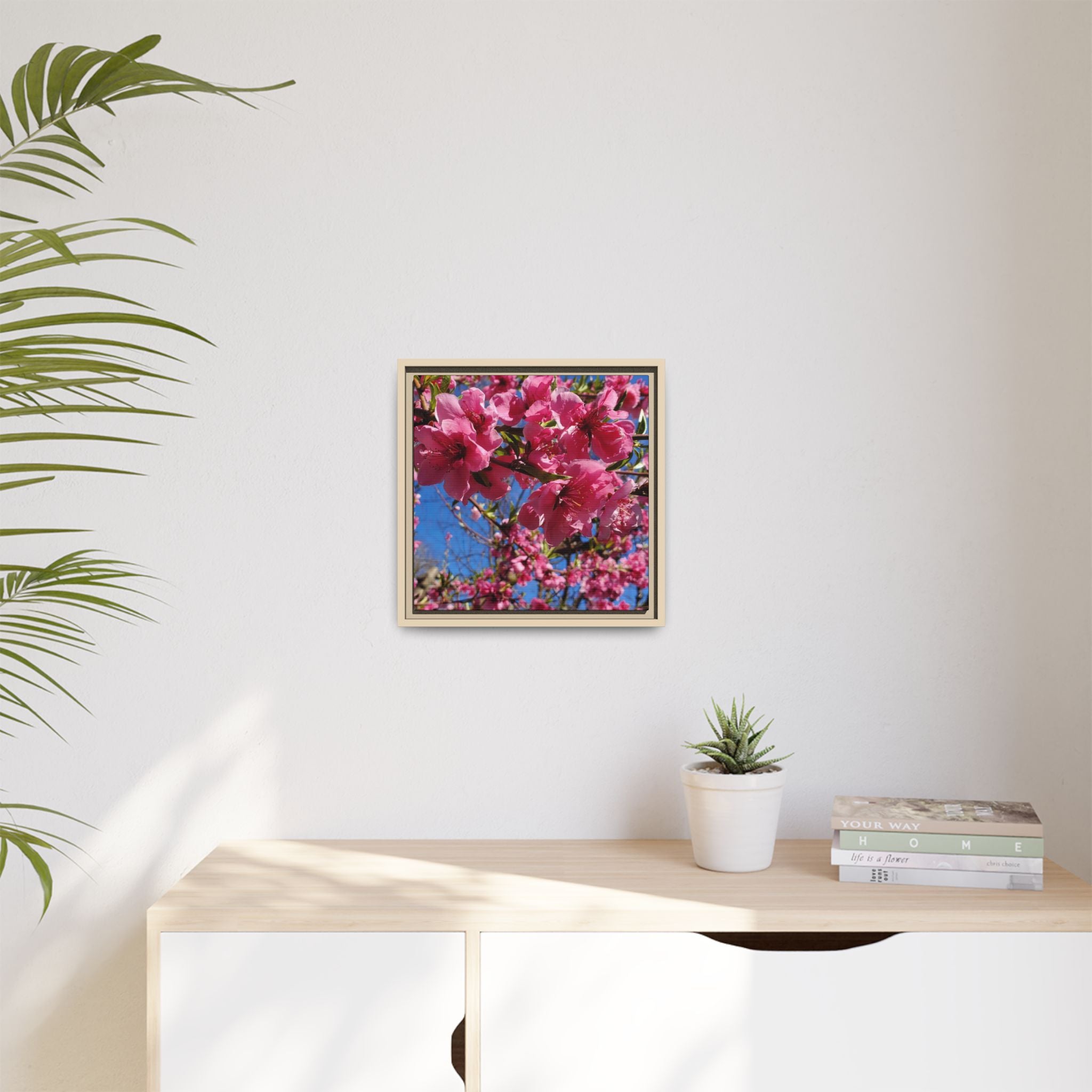 Pink Peach Blossom Framed Canvas Print