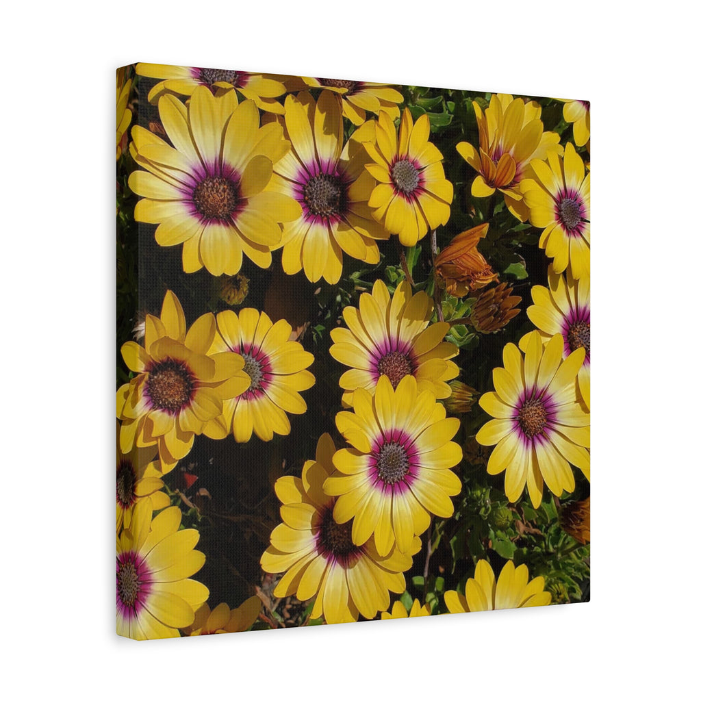 Yellow Daisy Floral Canvas Wall Art