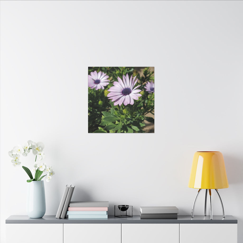 Unframed Purple Daisy Floral Canvas Print