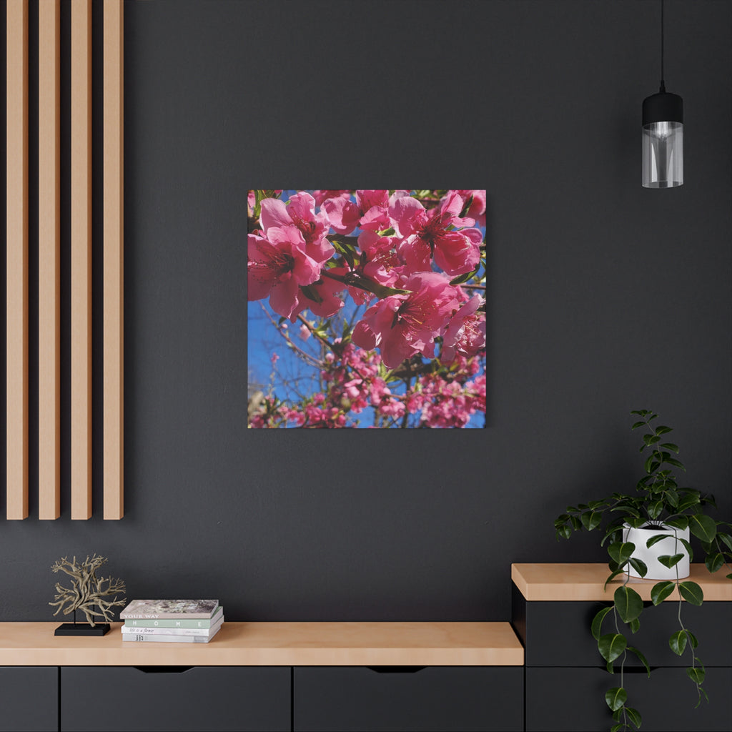 Pink Blossom Canvas Wall Art — Floral Print