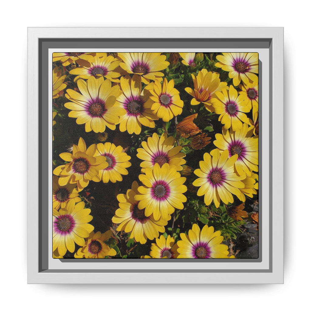 Cuadro de pared de lienzo con margaritas amarillas — Impresión floral mate vibrante