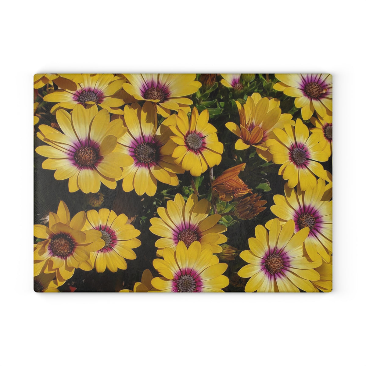 Glass Cutting Board - Yellow Daisy Floral Tempered Glass Chopping Board