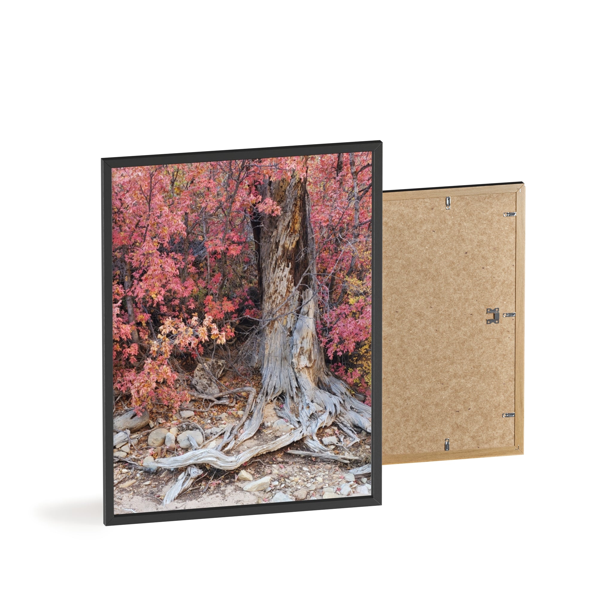 Póster "Raíces de árbol de otoño" con marco de madera | Arte de pared de bosque otoñal