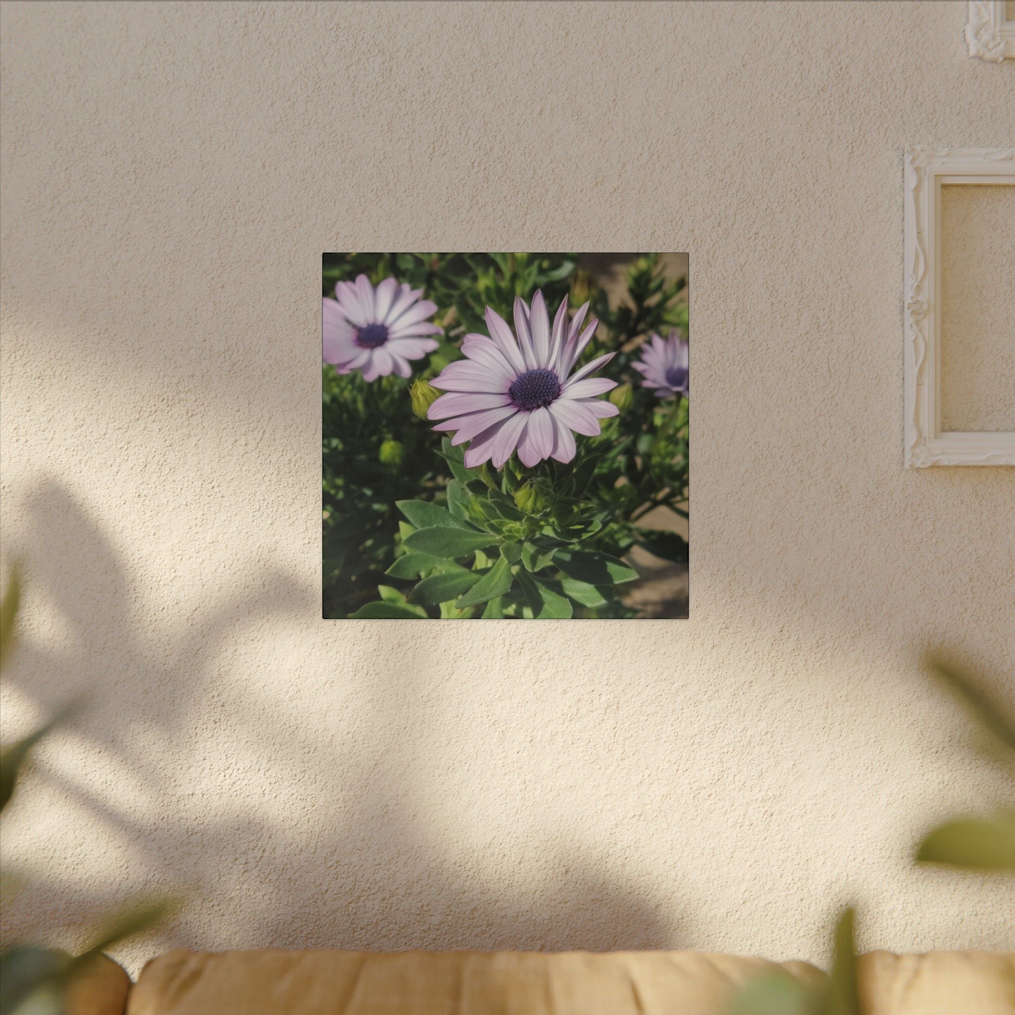 Unframed Purple Daisy Floral Canvas Print