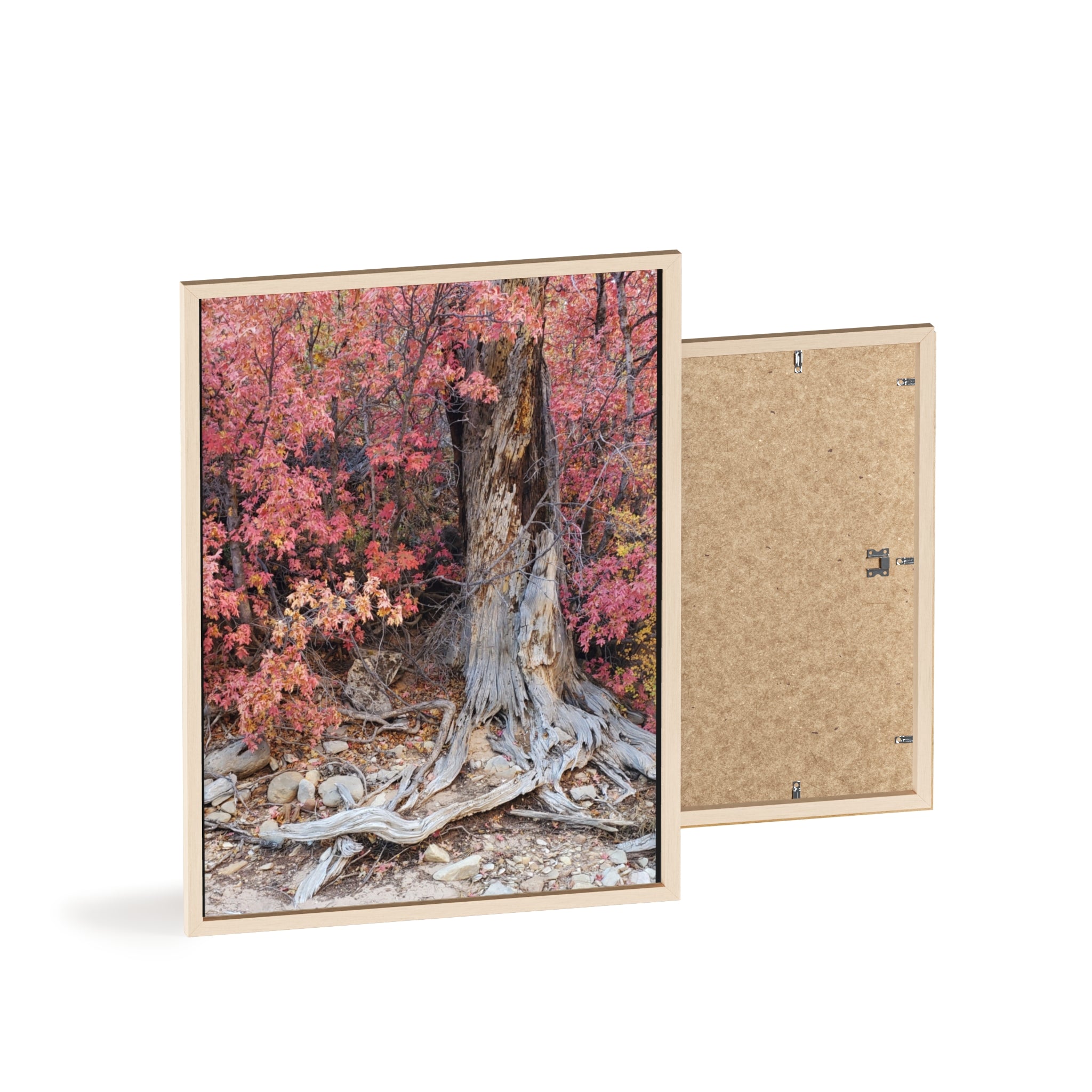 Autumn Tree Roots Poster with Wooden Frame | Fall Forest Wall Art