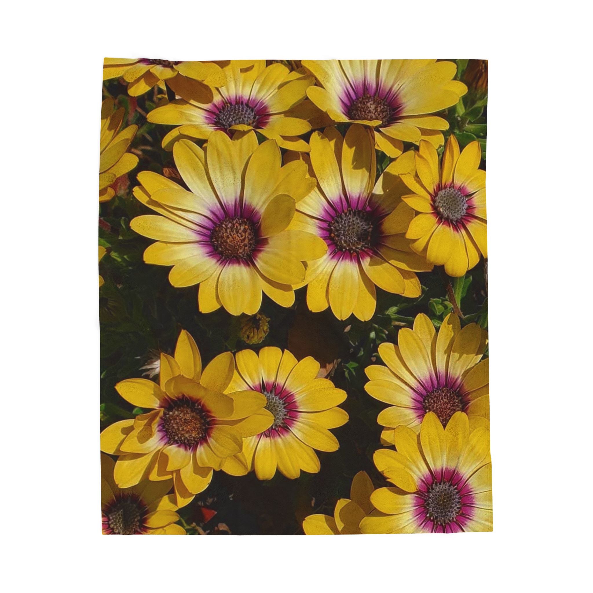 Yellow Daisy Floral Velveteen Plush Blanket | Purple-Centered Flower Print