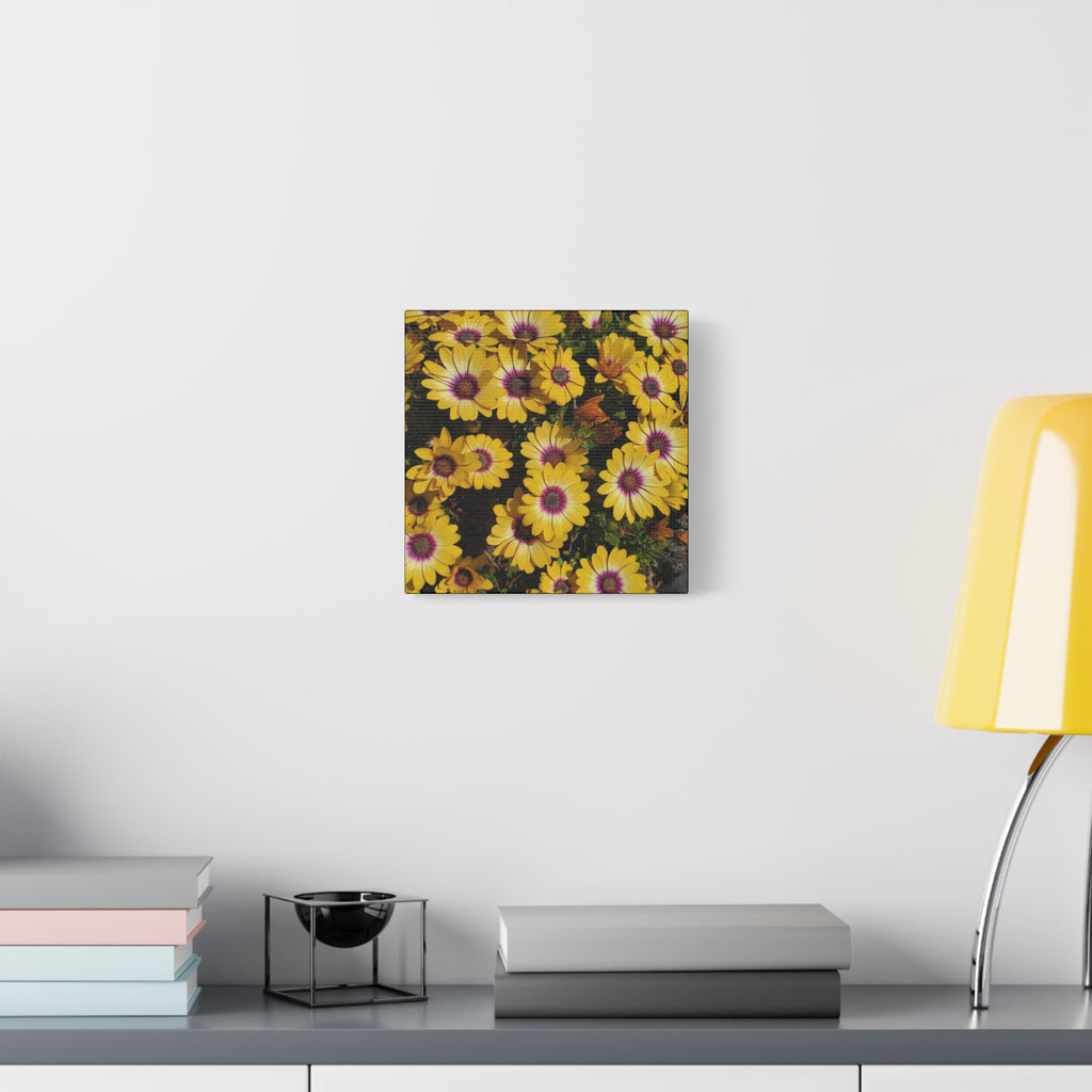 Yellow Daisy Floral Canvas Wall Art
