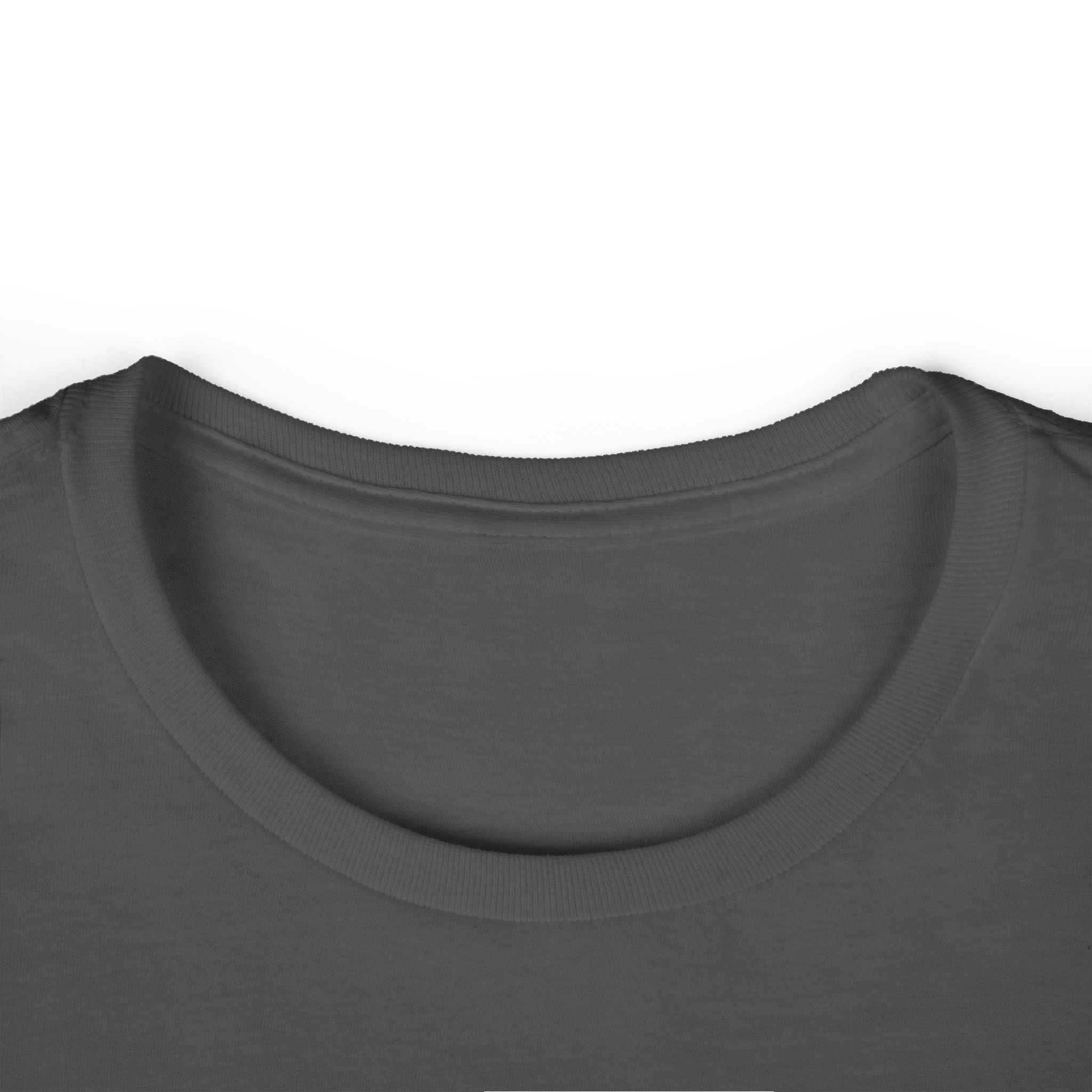 Women's T-Shirt — "Destroy the Patriarchy, Not the Planet" Eco-Feminist Graphic Tee