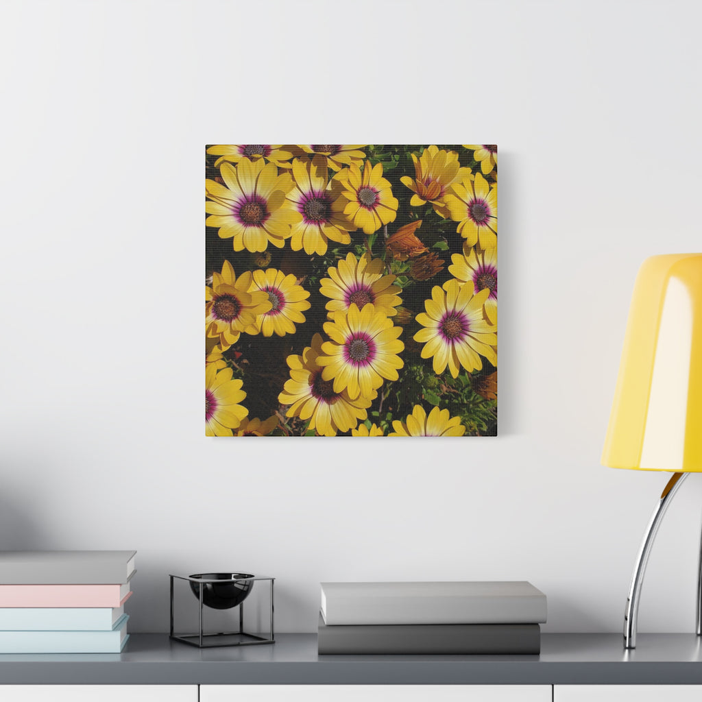Yellow Daisy Floral Canvas Wall Art