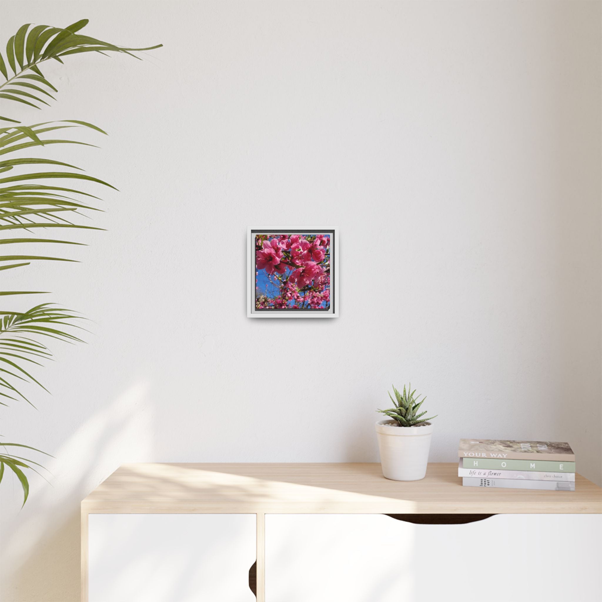 Pink Peach Blossom Framed Canvas Print