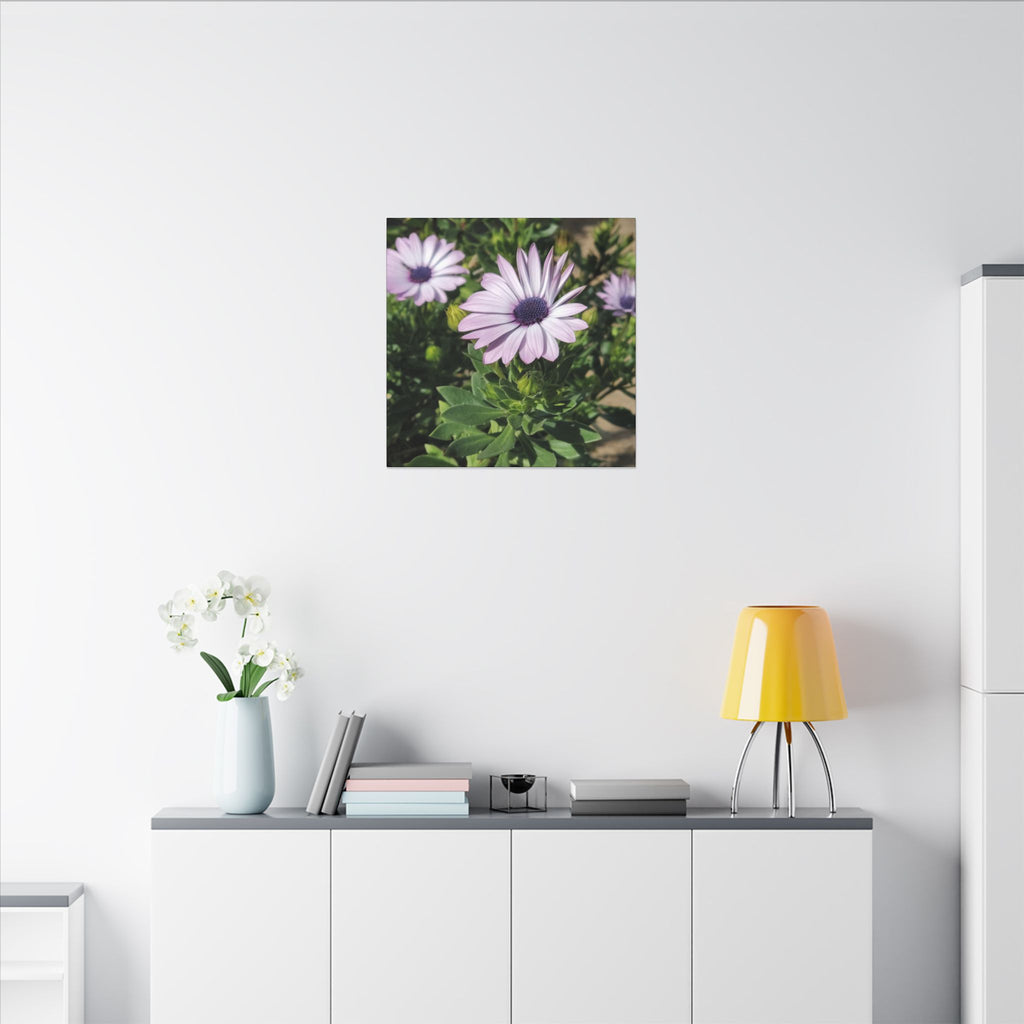 Unframed Purple Daisy Floral Canvas Print
