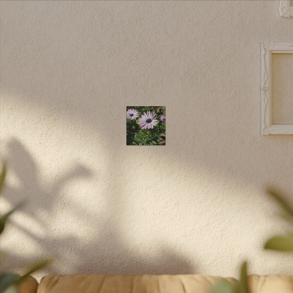 Unframed Purple Daisy Floral Canvas Print