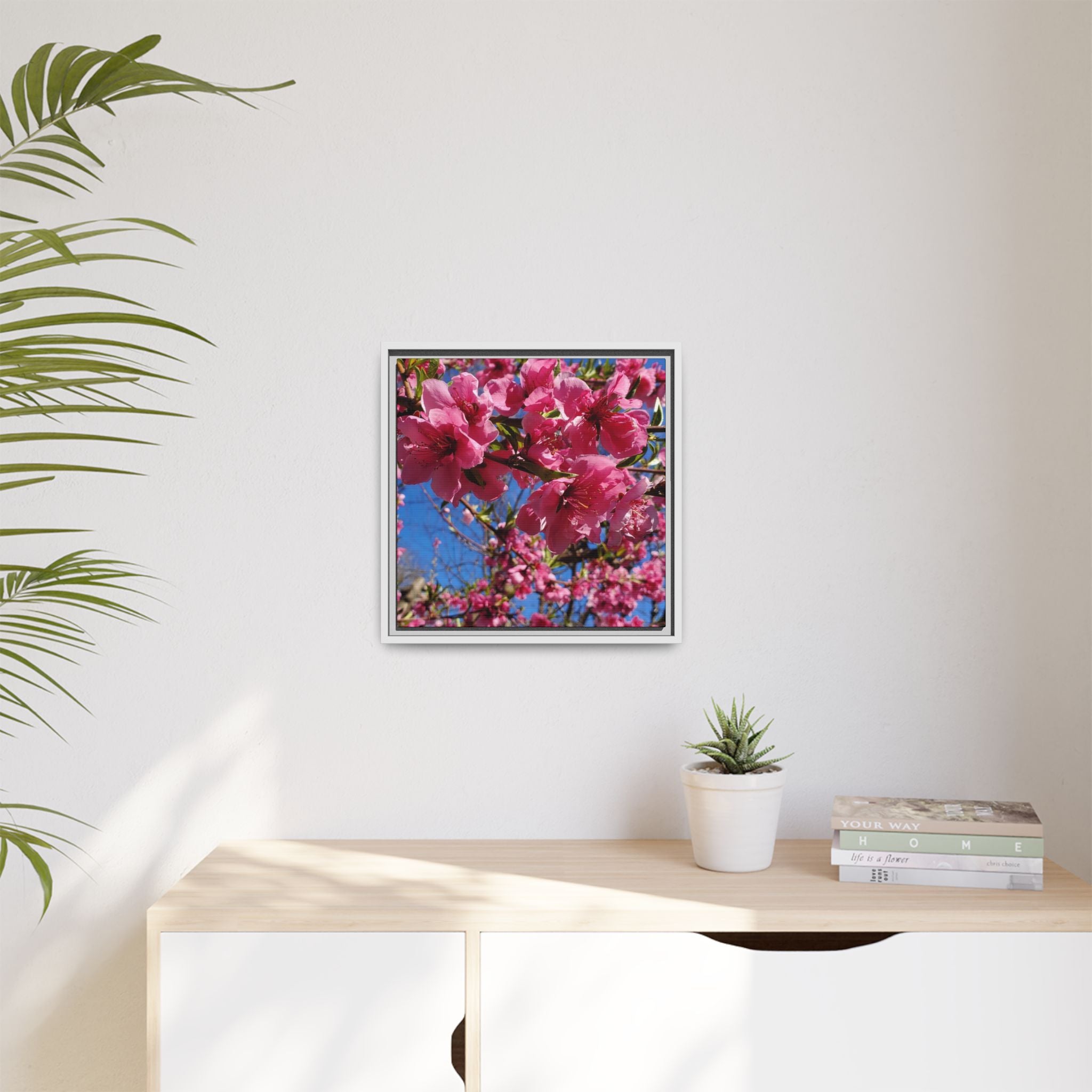 Pink Peach Blossom Framed Canvas Print