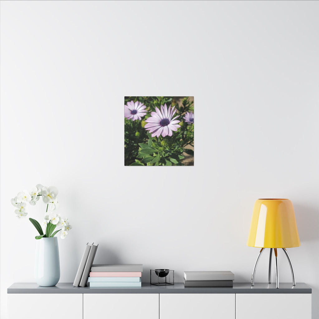 Unframed Purple Daisy Floral Canvas Print