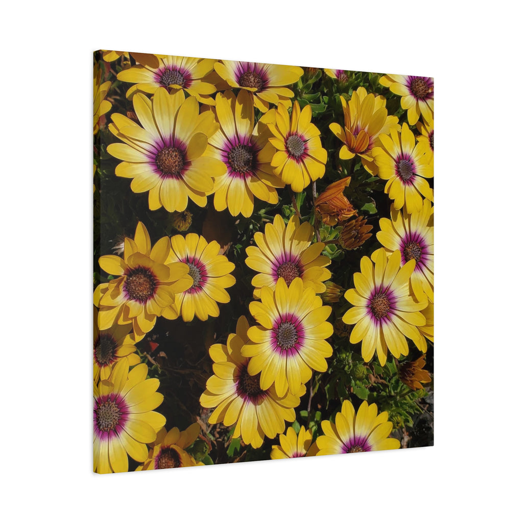 Yellow Daisy Floral Canvas Wall Art