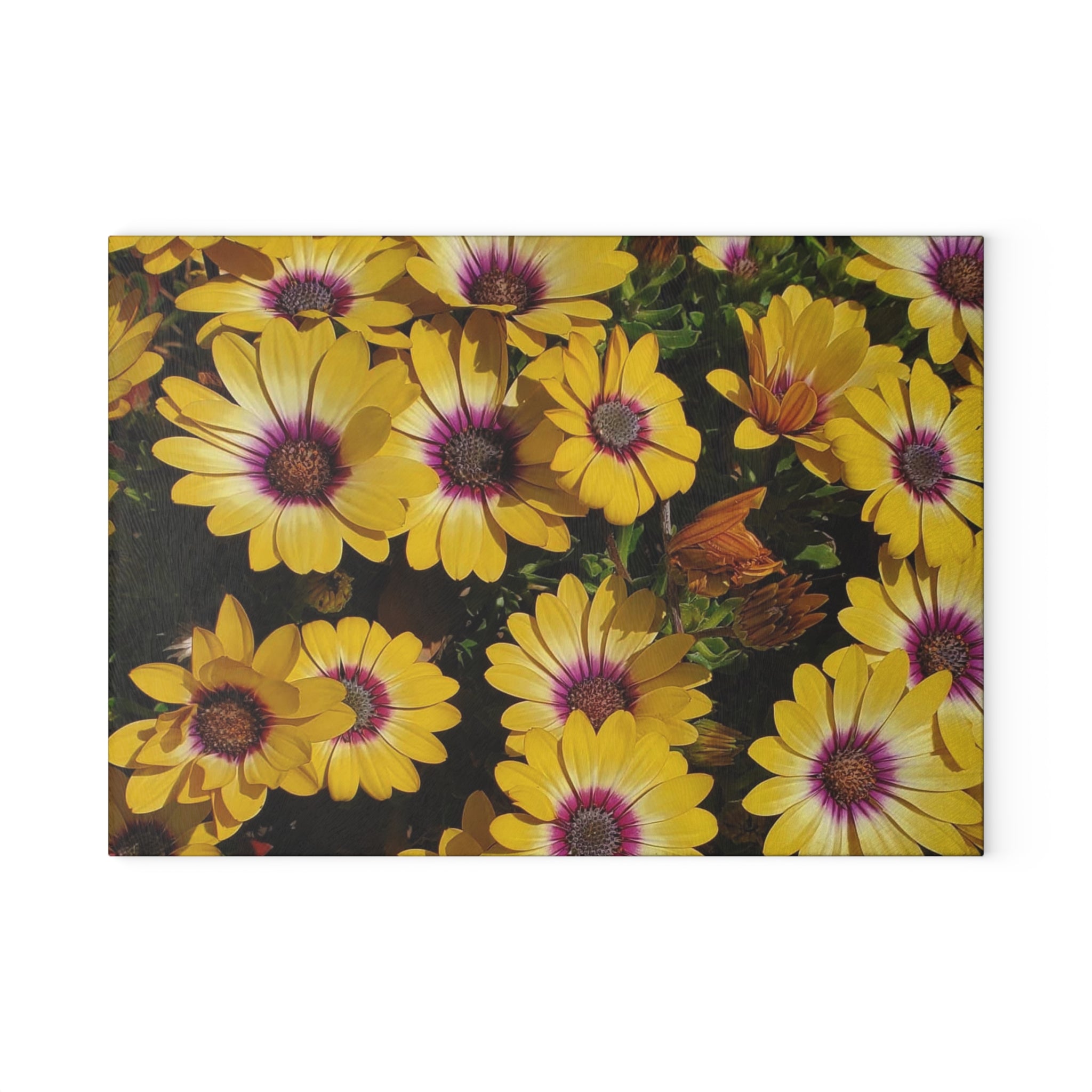 Glass Cutting Board - Yellow Daisy Floral Tempered Glass Chopping Board