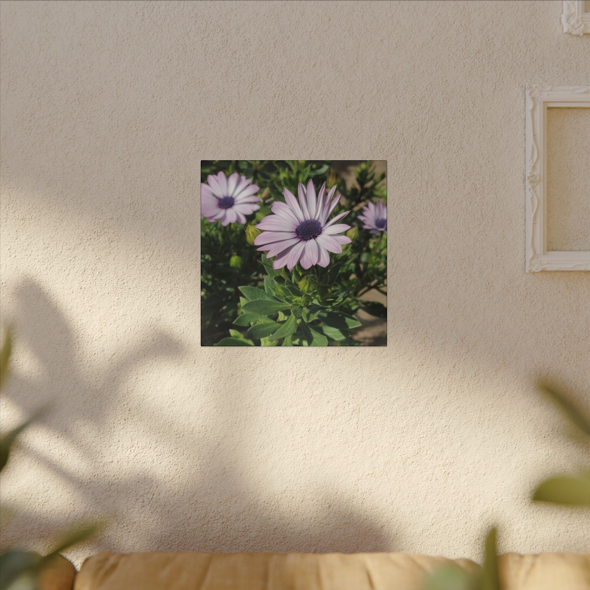 Unframed Purple Daisy Floral Canvas Print