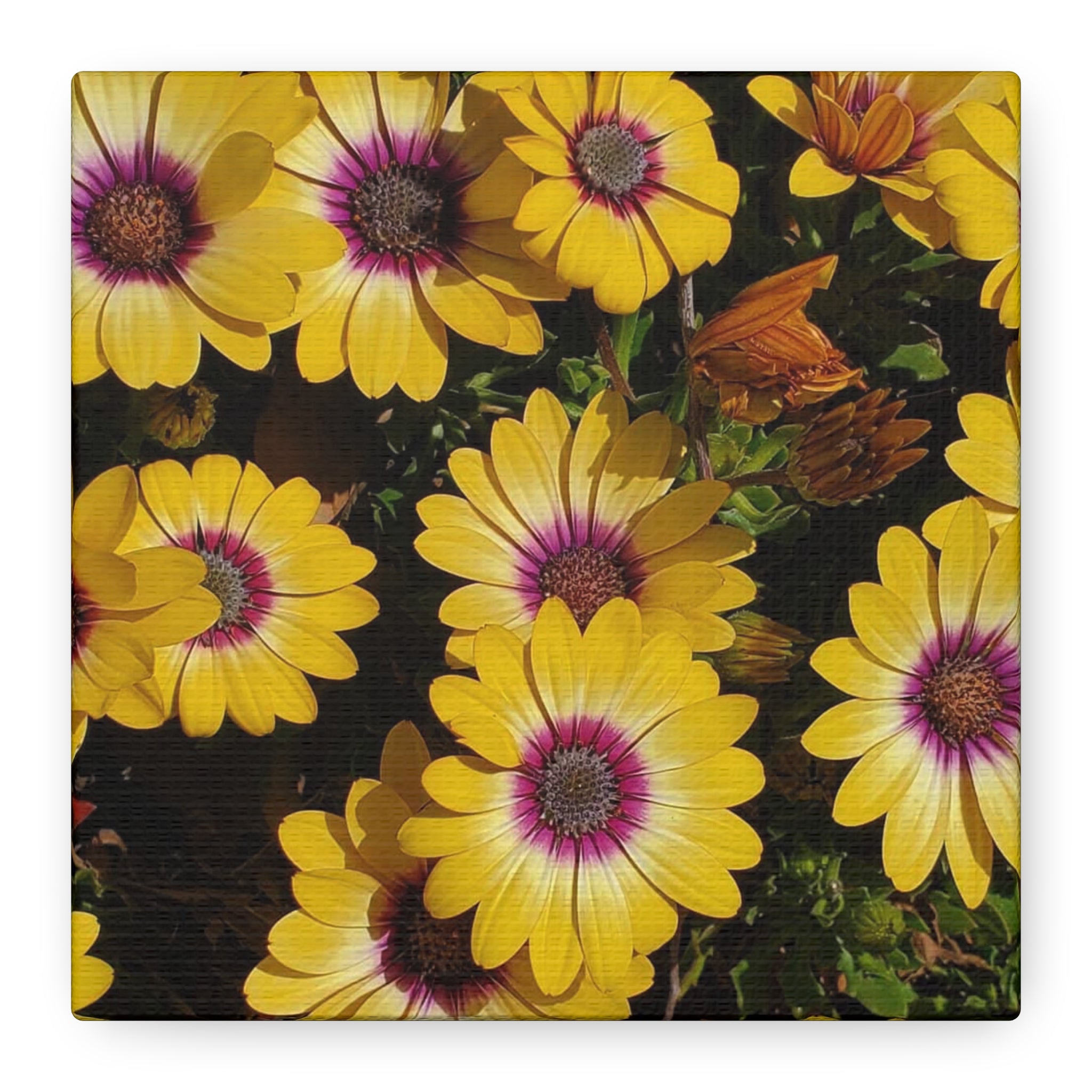 Yellow Daisy Floral Canvas Wall Art