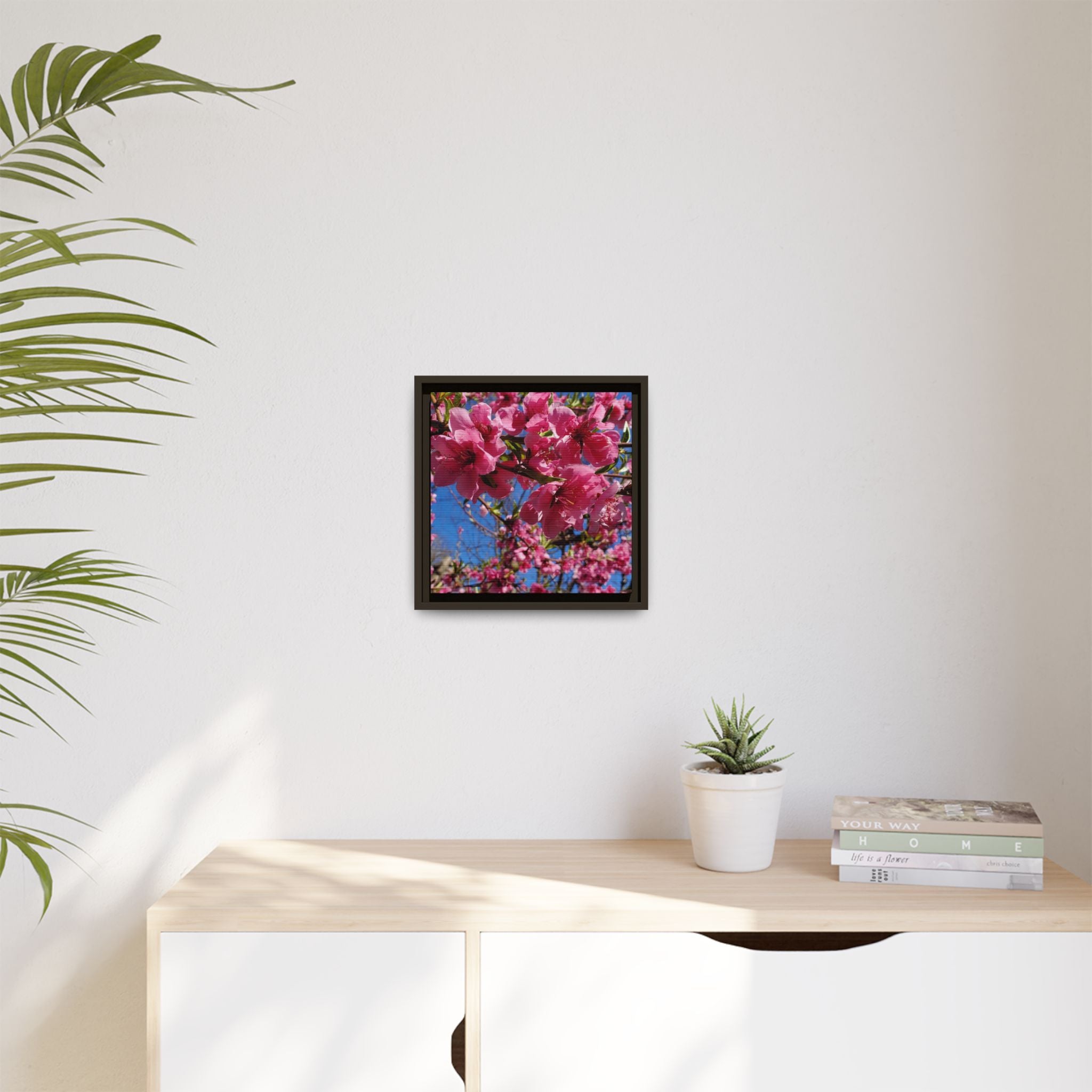 Pink Peach Blossom Framed Canvas Print