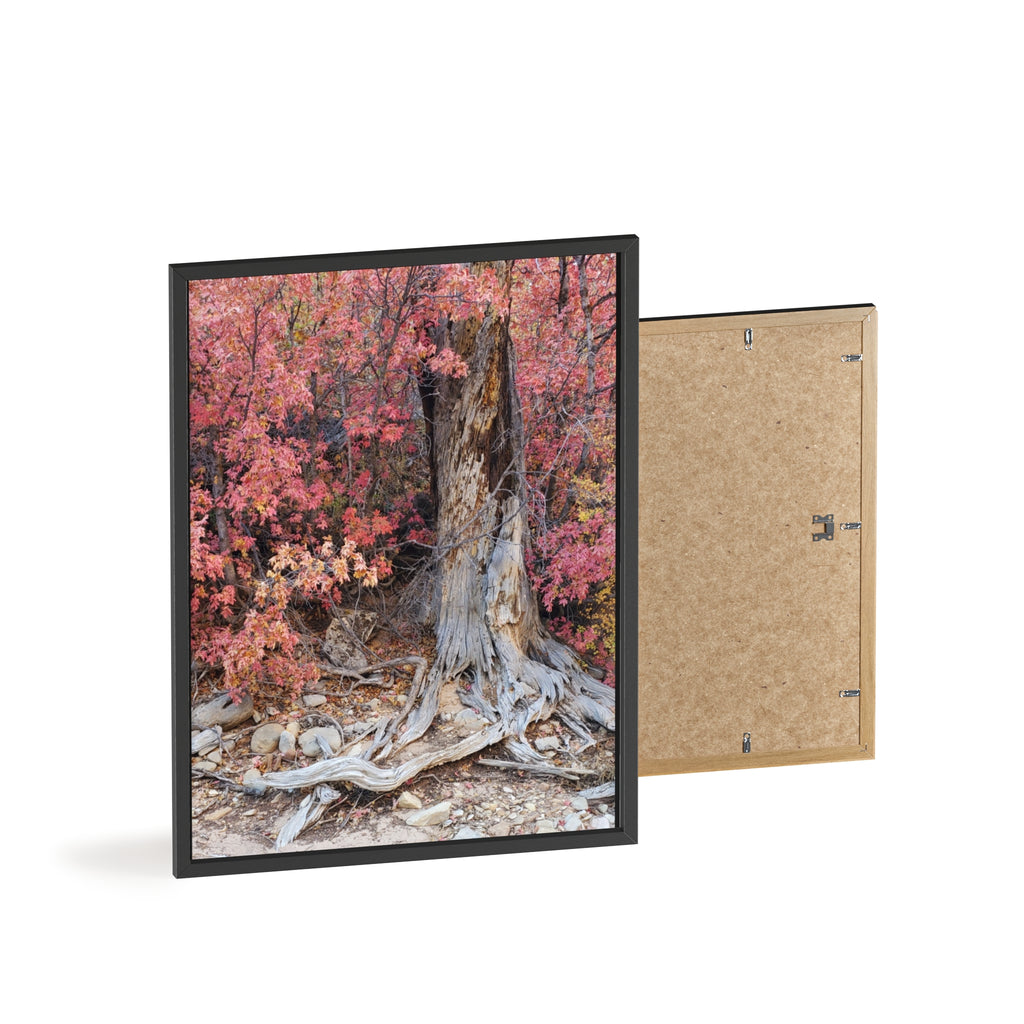 Autumn Tree Roots Poster with Wooden Frame | Fall Forest Wall Art