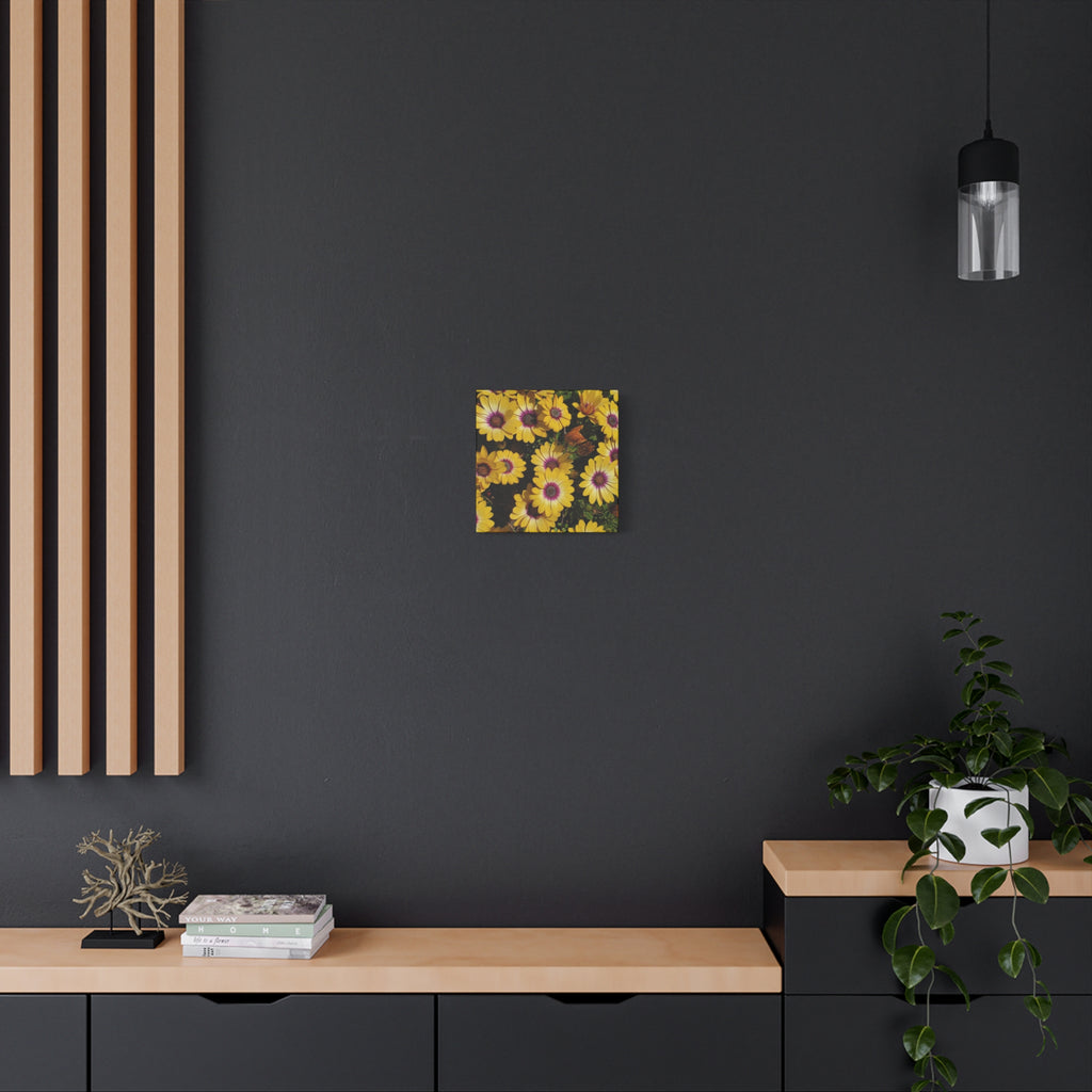 Yellow Daisy Floral Canvas Wall Art
