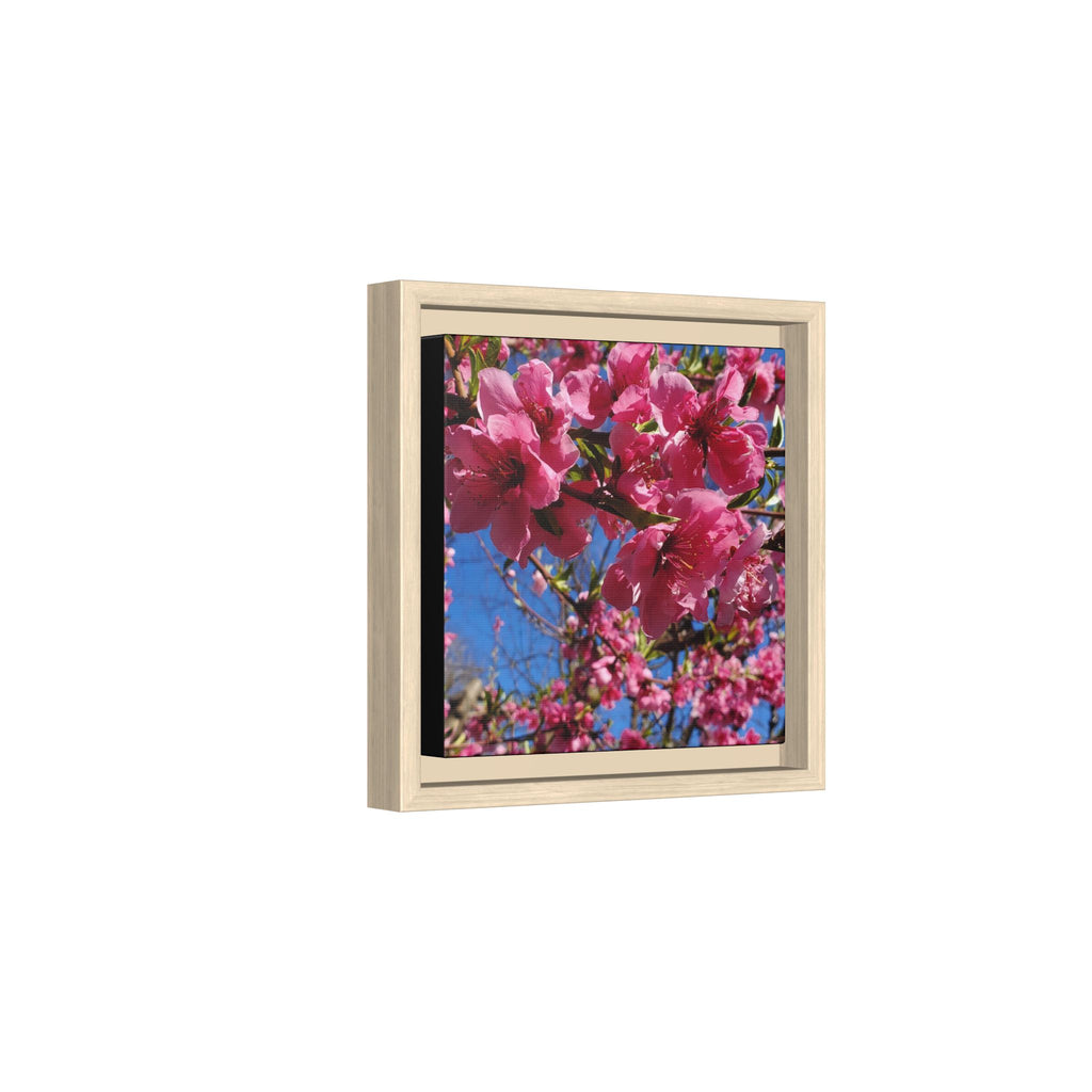 Lienzo Impreso de Flor de Cerezo Rosa