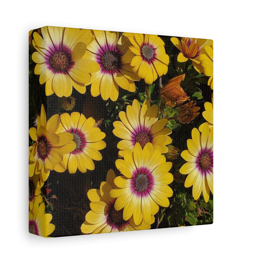 Yellow Daisy Floral Canvas Wall Art