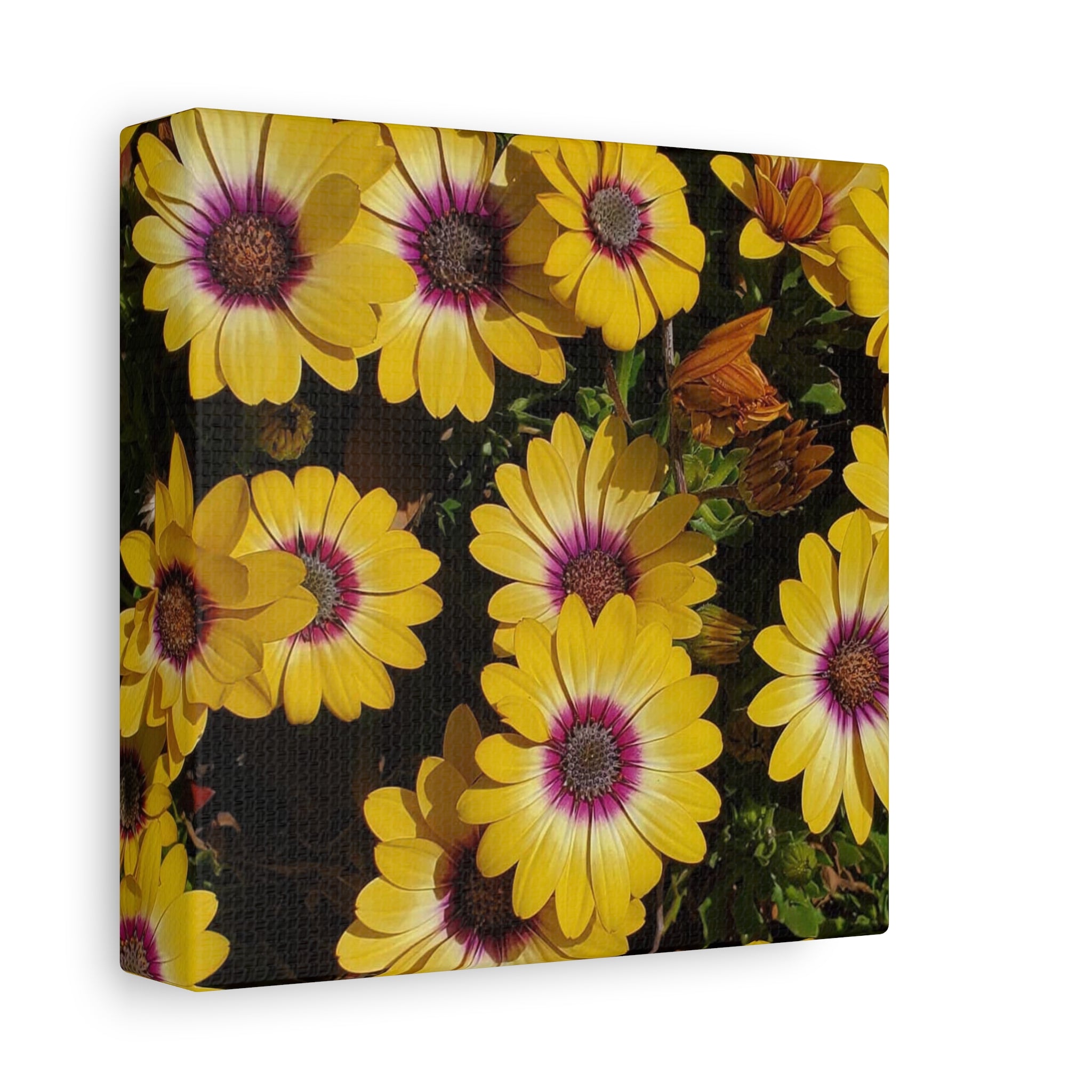 Yellow Daisy Floral Canvas Wall Art