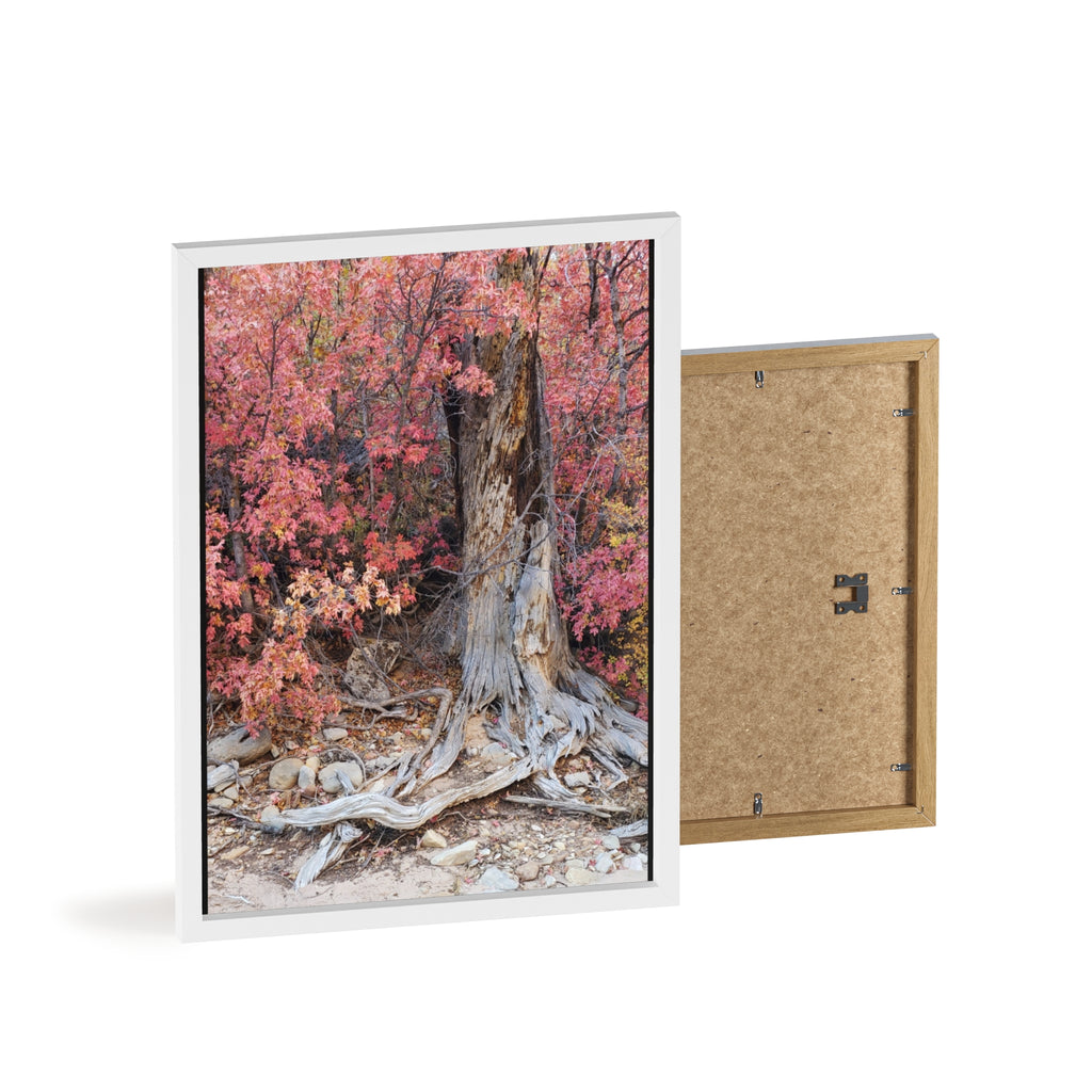 Autumn Tree Roots Poster with Wooden Frame | Fall Forest Wall Art